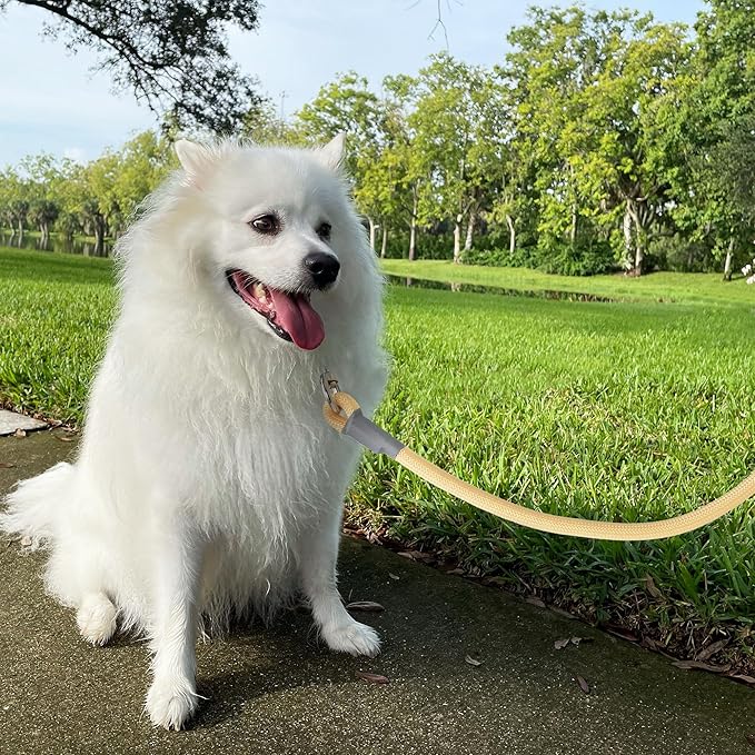 Mile High Life Dog Leash, with Comfortable Padded Handle, Cream Nylon Rope Leash with Steel Tips, Heavy Duty 4 Feet Pet Leashes (Cream,48 Inches)