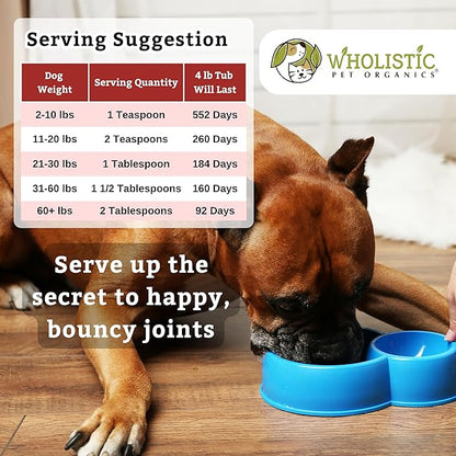 Wholistic Pet Organics - Hip and Joint Supplement for Dogs & Cats - Cat and Dog Joint Supplement - Green Lipped Mussels, Glucosamine, Chondroitin for Dogs & Cat Mobility Support - 4 Lb - 181 Scoops