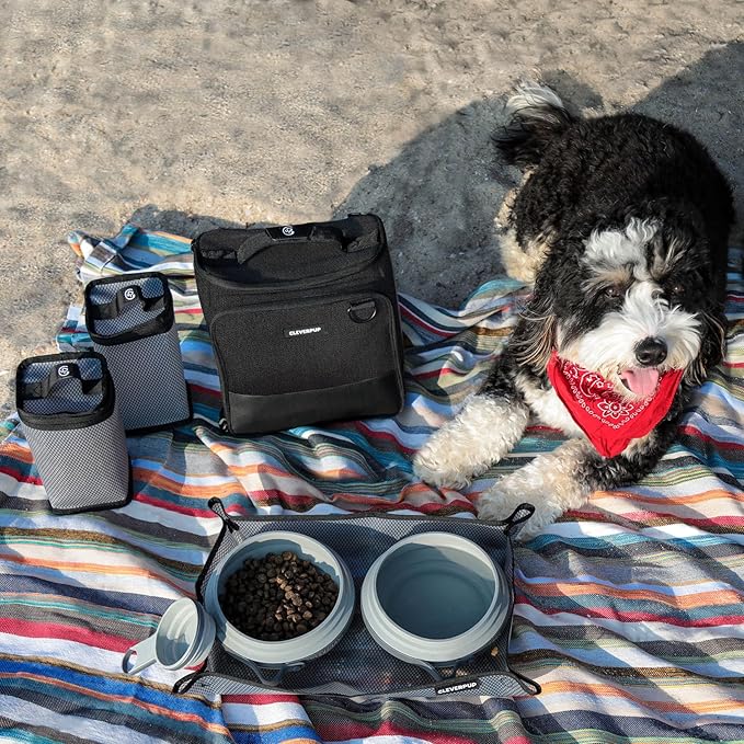 Cleverpup, Large 7-Piece Bistro Box Dog Food Travel Kit, 12-Cup Kibble Storage, 2 Silicone Bowls, Mat & Scoop - Premium Portable Pet Food Kit for Weekends, Overnights, Daycare & Camping, Graphite