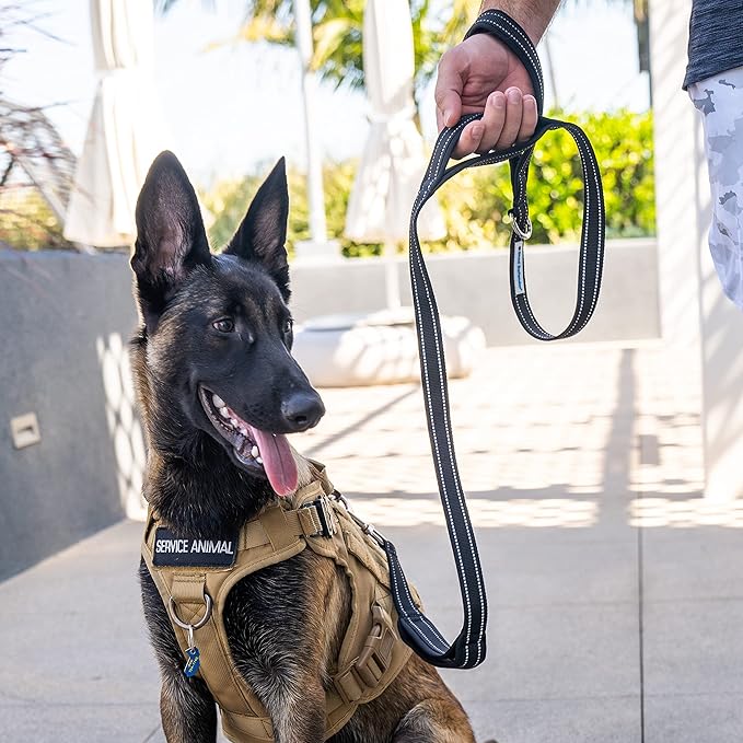 Shed Defender 5 ft. Standard Dog Leash - Three Padded Traffic Handles, Designed in The USA, Dual Layered Thickness Heavy Duty, Reflective Stitching, Large Dogs & Small Breed, Training Lead (Camo)