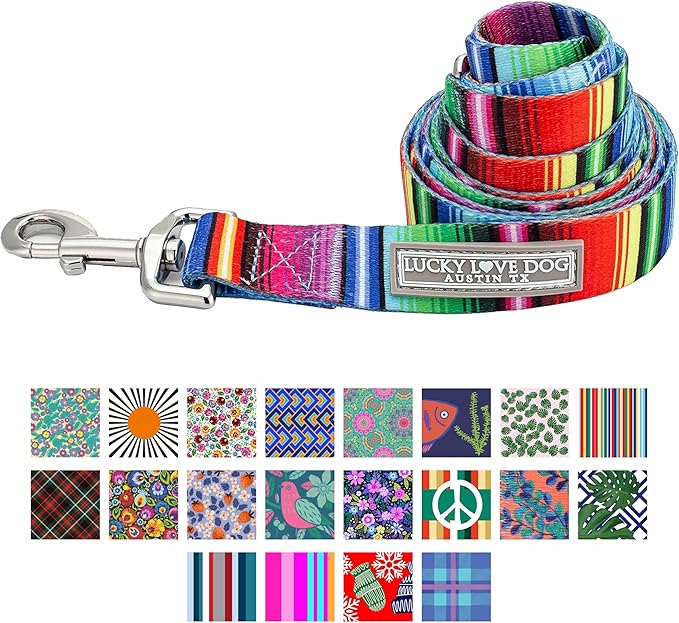 Lucky Love Dog Leash, Colorful Striped Dog Leash for Small Dogs, Durable & Long Lasting, (Nacho, Small)