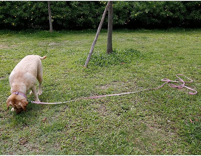 Long Dog Leash Waterproof Recall Training Lead Outdoor Long Line Great for Training, Beach, Play, Camping, or Backyard