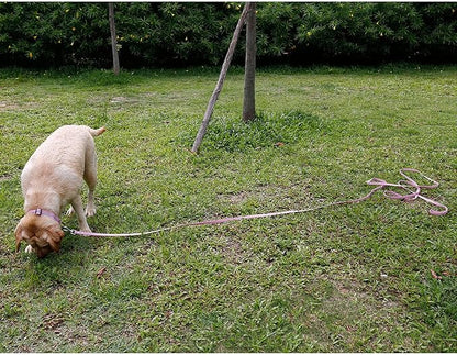 Long Dog Leash Waterproof Recall Training Lead Outdoor Long Line Great for Training, Beach, Play, Camping, or Backyard