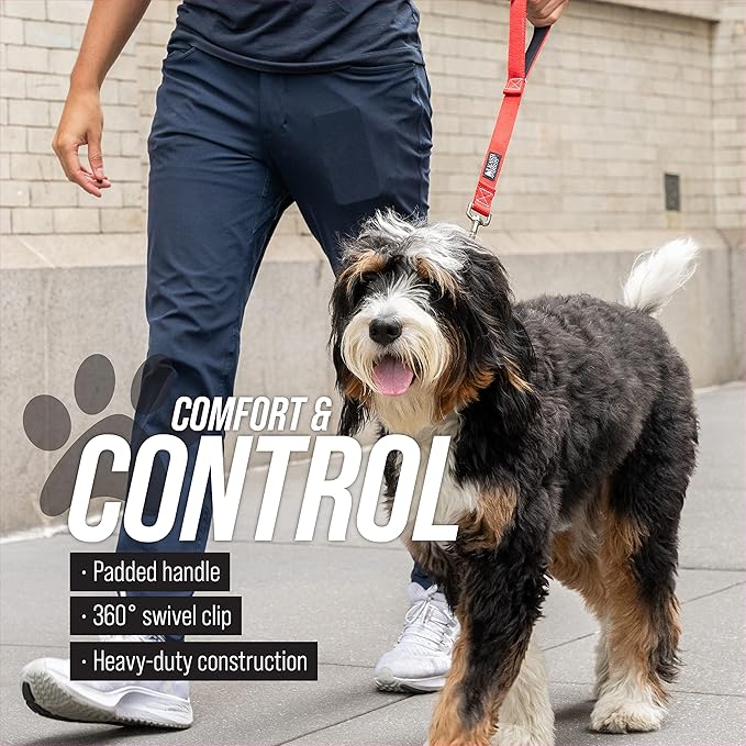 Leash Boss Short Dog Leash With Padded Traffic Handle for Training and Walking | Comfortable Nylon Lead for Large, Medium, Small Dogs