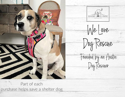 Lucky Love Dog No Pull Dog Harness, Adjustable and Easy to Walk, Cute Patterned Harness for SmallMale & Female Dogs - Molly, Small