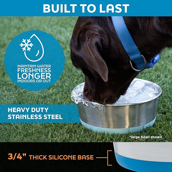 Master Pet Supply Stainless Steel Dog Bowls Set of 2 with Extra Thick Silicone Base - 2 Cup (16 oz) Black Velvet, Non-Slip, Dishwasher Safe Metal Bowls, Pet Dog Food Bowl for Dogs, Cats, Anti Rust