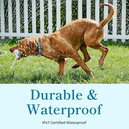 Petivity Smart GPS and Activity Pet Tracker for Dogs Powered by Purina, Waterproof Real Time Tracking GPS Dog Collar, Downloadable App, Subscription Required