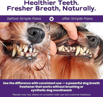 Dental Powder for Dogs Teeth – Dog Dental Powder for Teeth Cleaning – All Natural Bad Dog Breath Treatment with Probiotics for Fresh Breath & Oral Health – Chicken Flavored, 60 Scoop Supply