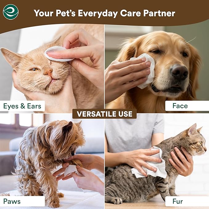 ECO SOUL Pet Wipes for Dogs & Cats, Unscented Large Cleaning Wipes with Aloe & Glycerin | Alcohol & Chlorine Free | Pack of 1 (100 Wipes) (Pack of 4)