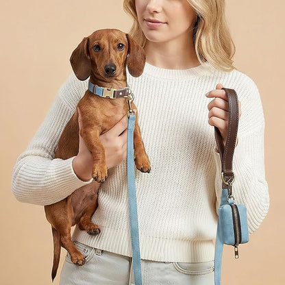 Didog Soft PU Leather Dog Collars for Small Dogs,Classic Adjustable Dog Collars with Quick Release Metal Buckle,Easy Clean and Comfortable with Nylon Lining,Denim Blue,S Neck 11-15"