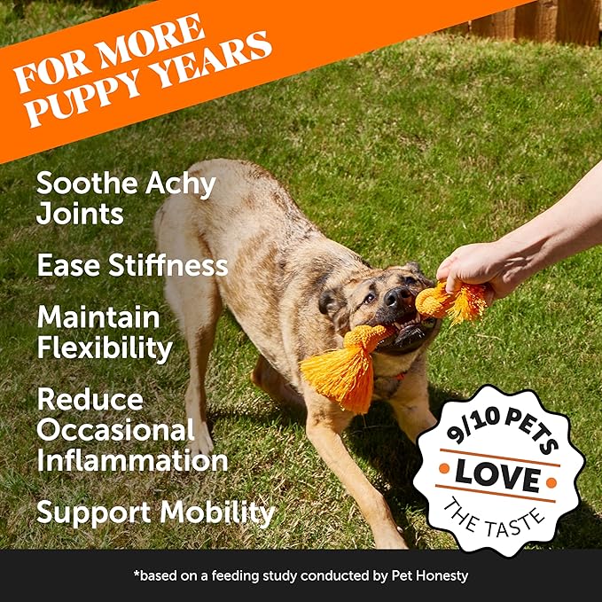 Hemp Hip & Joint Supplement for Dogs - Hemp Oil & Powder - Glucosamine Chondroitin for Dogs, Turmeric, MSM, Green-Lipped Mussel, Supports Mobility, May Reduce Discomfort (Bacon)