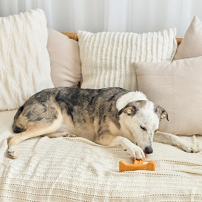 SPOT Bam-Bones Plus T Bone - Bamboo Fiber & Nylon, Durable Long Lasting Dog Chew for Aggressive Chewers – Toy for Dogs & Puppies Under 90lbs, Non-Splintering, 7in, Allergen Free Peanut Butter Flavor