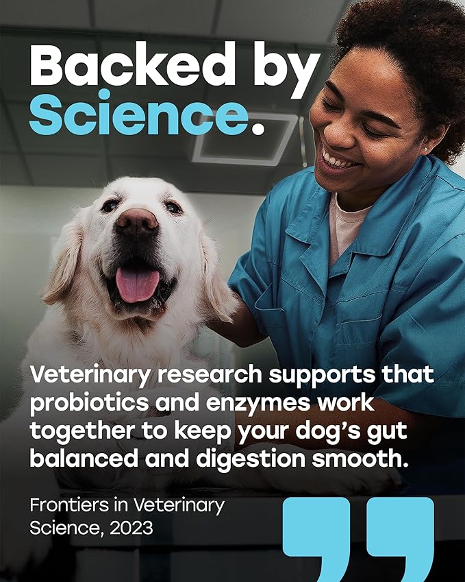 Chewable Dog Probiotics – All-in-One PhD-Endorsed Digestive Enzymes, Prebiotics, Turmeric, Omega-3 & Fiber – Gut, Diarrhea, Itchy Skin & Ear Support – All Ages, Made in USA, 140 Beef Chews