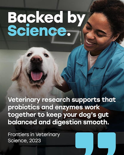 Chewable Dog Probiotics – All-in-One PhD-Endorsed Digestive Enzymes, Prebiotics, Turmeric, Omega-3 & Fiber – Gut, Diarrhea, Itchy Skin & Ear Support – All Ages, Made in USA, 140 Beef Chews