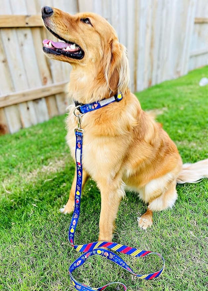Lucky Love Dog - Easy Click Buckle Dog Collar with Leash Set Combo, Durable & Comfortable for Male & Female Dogs, Pet Collar for Small Dogs, Secure Fit - Mackey Combo, XS