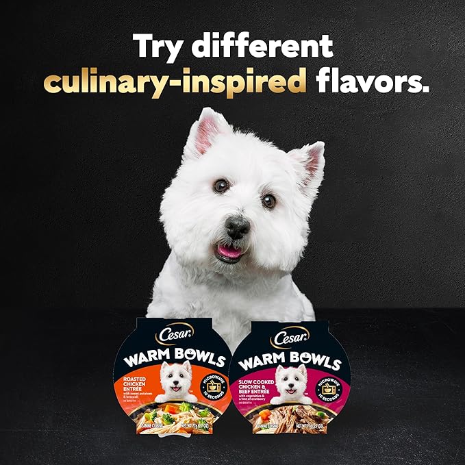 Cesar Warm Bowls Wet Dog Food Chicken & Beef Entrée with Vegetables & a Hint of Cranberry in Broth, Wet Food for Dogs, 2.7 oz Bowls, 10 Count