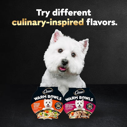 Cesar Warm Bowls Wet Dog Food Chicken & Beef Entrée with Vegetables & a Hint of Cranberry in Broth, Wet Food for Dogs, 2.7 oz Bowls, 10 Count