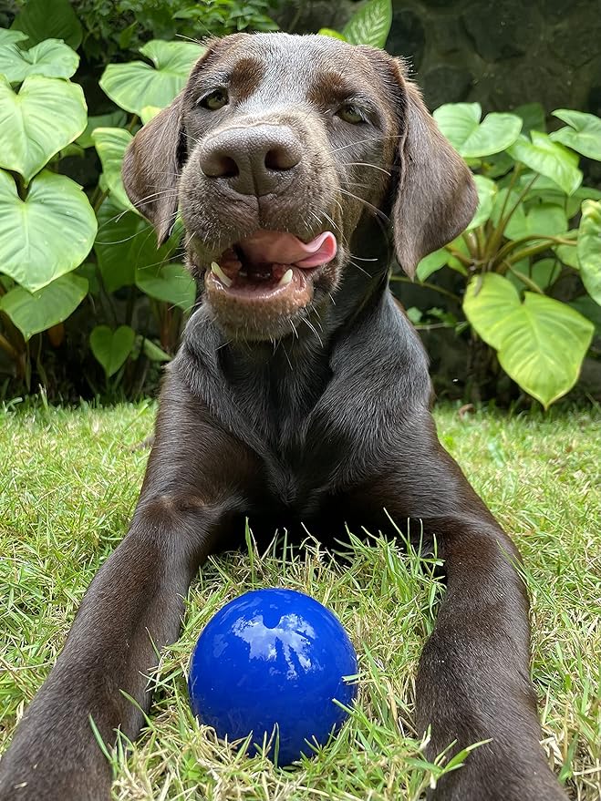 Tuff Pupper SuperChewer Tough Dog Ball Toy | Lifetime Replacement | Strong Natural Rubber | Great Dog Fetch Toy | Chew Toys for Dogs | Ultra Durable Chew Toys for Aggressive Chewers | for All Breeds