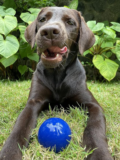 Tuff Pupper SuperChewer Tough Dog Ball Toy | Lifetime Replacement | Strong Natural Rubber | Great Dog Fetch Toy | Chew Toys for Dogs | Ultra Durable Chew Toys for Aggressive Chewers | for All Breeds