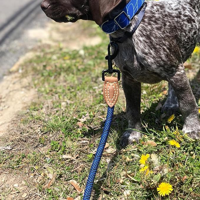 Mile High Life Rope Leash with Genuine Leather Connection, 6 FT/5 FT/4 FT, Heavy Duty Leash for Medium & Large Dogs (Blue, 60 Inch)
