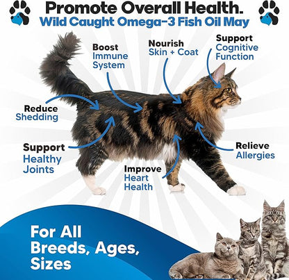 Omega 3 Fish Oil for Cats - Better Than Salmon Oil - Kitten & Cat Vitamins and Supplements - Cat Dandruff Treatment - Liquid Fish Oil for Pets - Shedding Support - Cat Health Supplies for All Ages
