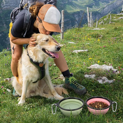 Large Dog Bowl Pet Collapsible Bowls, 2 Pack Collapsible Dog Water Bowls for Cat Dogs Portable Pet Feeding Water Dish for Walking Parking Traveling with 2 Carabiners (Large, Fairy pink & Sprout Green)