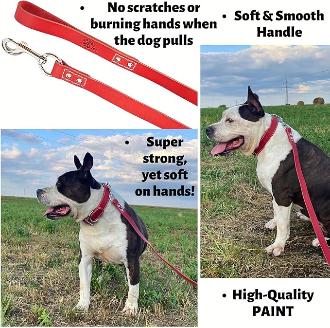 ADITYNA Heavy Duty Leather Dog Leash 6 ft x 1" - Strong, Soft Training Lead for Large & Extra Large Breeds (Red, XL - 6 ft x 1 inch)