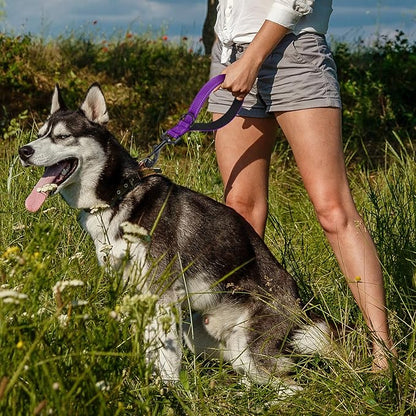 Dog Leash, Short Dog Leash, Leashes for Large Breed Dogs,Traffic Padded Handle- Reflective Training Lead, Perfect for Medium to Large Dogs(12 Inch, Purple)