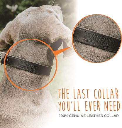 Mighty Paw Martingale Dog Collar - No Pull Design - Stainless Steel Chain - Limited Chain Cinch Training - Brown Leather Martingale Training Collar - Large Size