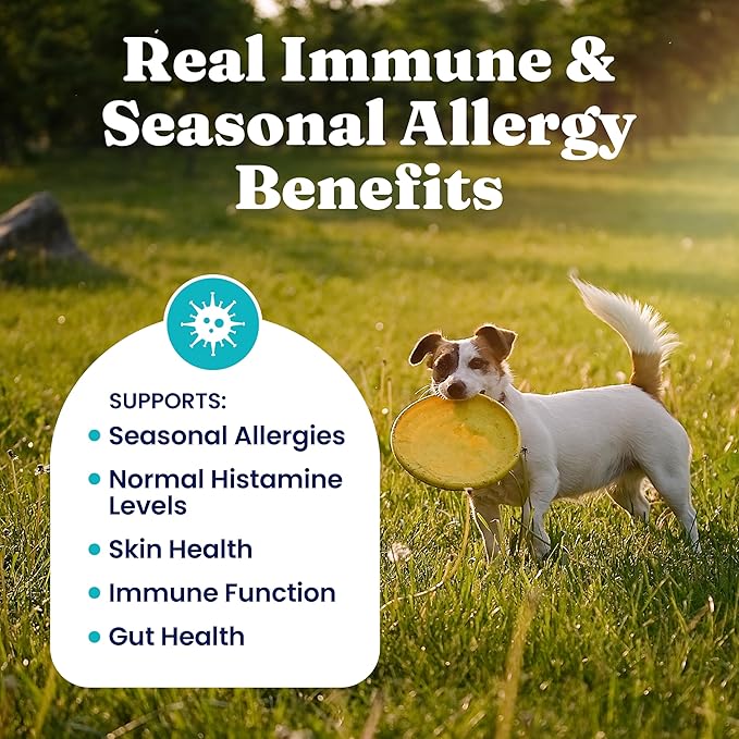 Solid Gold Dog Allergy Relief Chews - Dog Itching Skin Relief & Seasonal Allergies Support - Alaskan Salmon Oil for Dogs Skin, Coat & Immune Support - Bacon Flavor Soft Allergy Chews for Dogs -120ct