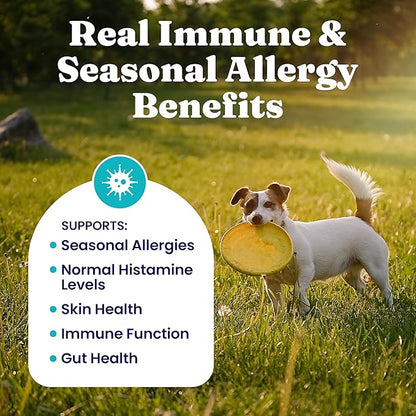 Solid Gold Dog Allergy Relief Chews - Dog Itching Skin Relief & Seasonal Allergies Support - Alaskan Salmon Oil for Dogs Skin, Coat & Immune Support - Bacon Flavor Soft Allergy Chews for Dogs -120ct