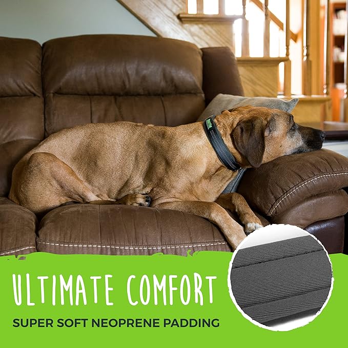 Mighty Paw Ultra Soft Dog Collar - Ultimate Comfort with Soft Neoprene Padding - All-Metal Adjustable Buckle for Large & Small Dogs - Mighty Strong for Long Lasting Durability - Stay Safe and Visible