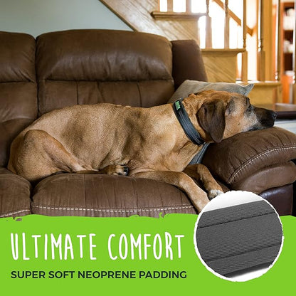 Mighty Paw Ultra Soft Dog Collar - Ultimate Comfort with Soft Neoprene Padding - All-Metal Adjustable Buckle for Large & Small Dogs - Mighty Strong for Long Lasting Durability - Stay Safe and Visible