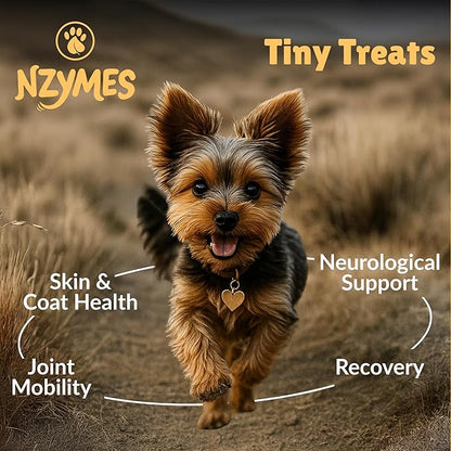 Nzymes® Antioxidant Tiny Treats - for Dogs Joints, HIPS, Paralysis, Skin, Coat, Hair Loss, Aging, Digestion, Seizures - Dog Treats for Small Dogs - 180 Treats - Made in The USA