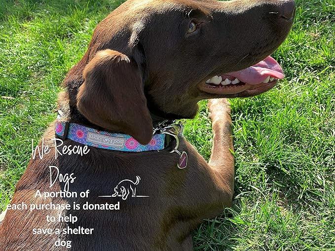 Lucky Love Dog - Adjustable Dog Collar with Easy Click Buckle for Large Ones, Durable, & Comfortable for Male & Female Dogs, Pet Collar for Puppies & Adult Dogs - Clara, Large