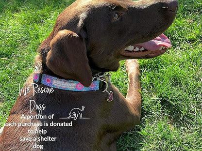 Lucky Love Dog - Adjustable Dog Collar with Easy Click Buckle for Large Ones, Durable, & Comfortable for Male & Female Dogs, Pet Collar for Puppies & Adult Dogs - Clara, Large