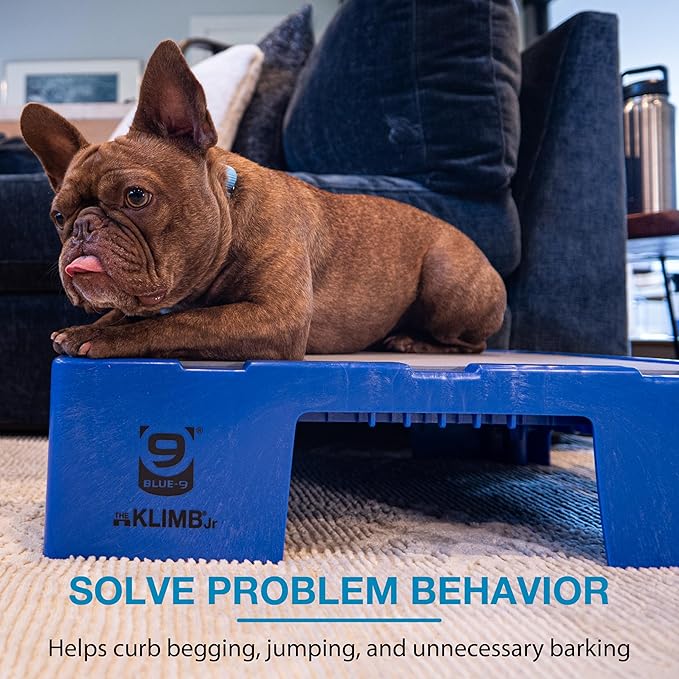 Blue-9 KLIMB Jr. Professionally Designed Dog Training Platform and DIY Guide for Behavior Basics, Made in The USA, Blue