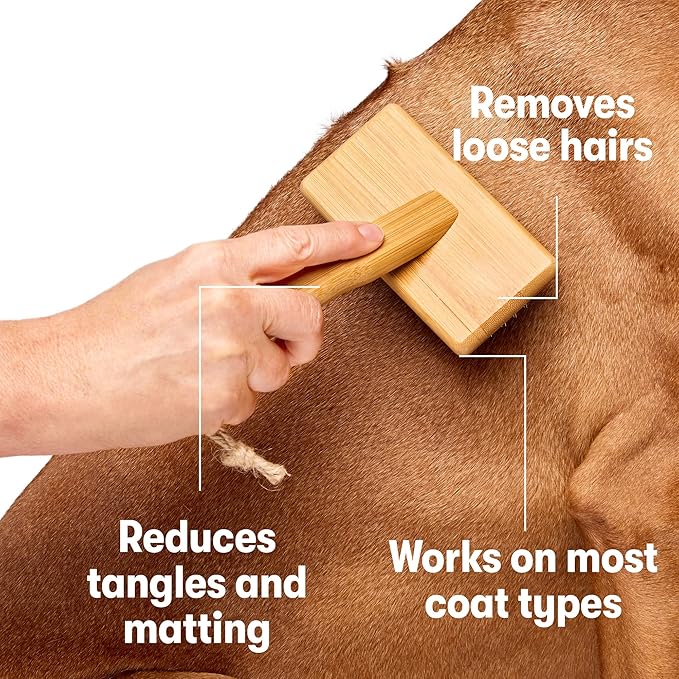 DOG by Dr Lisa - Slicker Brush - Short Bristle Brush for Dogs - For Most Dog Coats - Made from Sustainable Bamboo - Vet-Created - Small