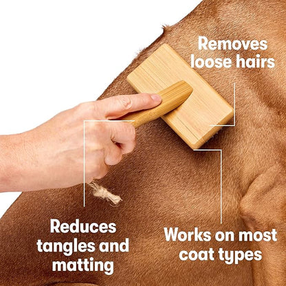 DOG by Dr Lisa - Slicker Brush - Short Bristle Brush for Dogs - For Most Dog Coats - Made from Sustainable Bamboo - Vet-Created - Small