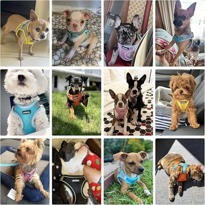AIITLE Dog Harness, No-Pull Cat Harness with a Leash, Adjustable Reflective Dog Vest, Cat Harness Escape Proof, Outdoor Walking, Running,Training for Extra Small Dogs and House Cats Yellow XXXS