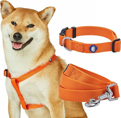Blueberry Pet Essentials Dog Harness and Leash Set - Large Orange Vermilion Dog Collar and Leash Set for Eco-Conscious Owners, Adjustable, Durable, 4 ft Leash, Ideal for Active Pet Parents