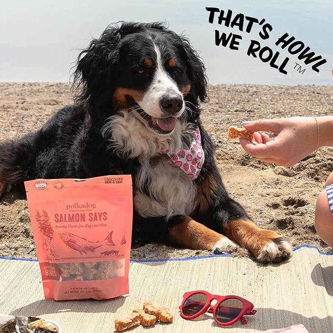 Polkadog Salmon Says Bone Shaped Dog Treats – Crunchy, All Natural, Limited Ingredient Healthy Treats. Handcrafted & Made in USA. High in Omega-3, Hypoallergenic, Easy to Digest, for All Breeds – 7oz