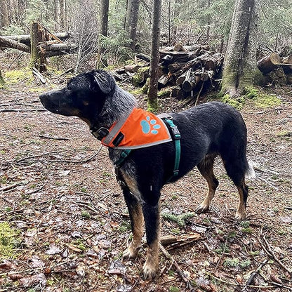 Bandana for Dogs. Blaze Orange Scarf with Reflective Collar is a Perfect Pet Bandana for Girl and Boy Dogs. Enhance Your Dog Walking Accessories with Our High-Visibility Adjustable Dog Handkerchief