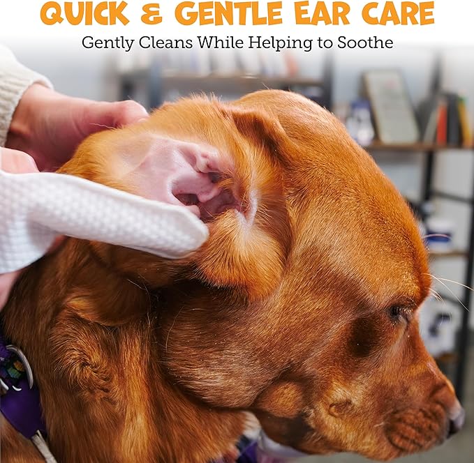 Pack Approved Finger Ear Wipes for Dogs with Aloe Vera and Eucalyptus - Convenient, Extra-Coverage, and Large Design Dog Ear Cleaning Wipes - Removes Wax and Freshens Ears - 50 Wipes