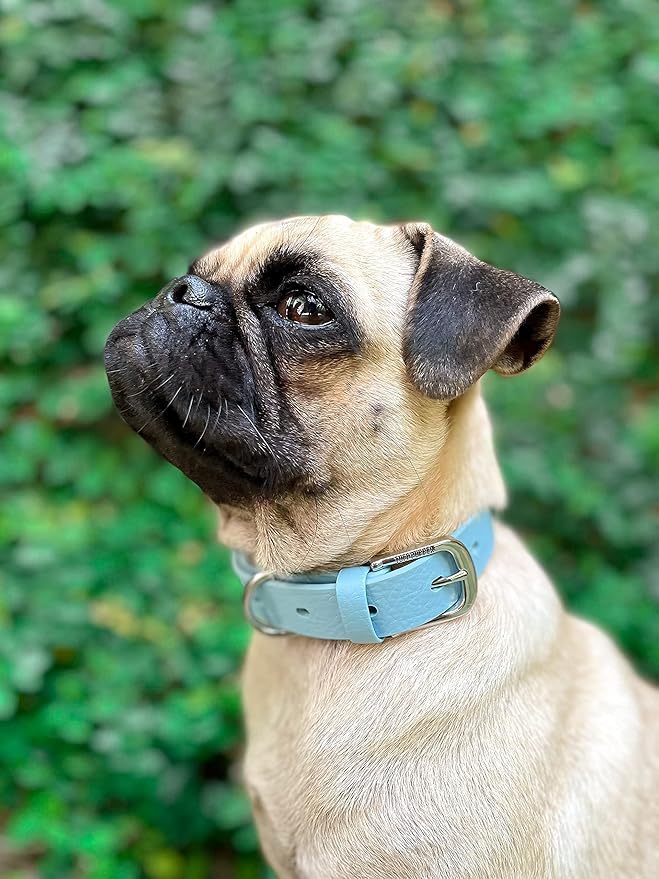 Tuff Pupper Classic Heavy Duty Dog Collar | 10x Stronger Than Leather | 100% Waterproof & Odor Proof Dog Collar | Tough Rust-Proof All Metal Hardware Small (12-15" Neck)