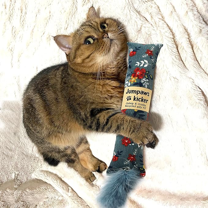 Jumpaws 2 Pack Natural Interactive Catnip & Silvervine Cat Kicker with Feathers, Bite Resistant Chew Toy, Crinkle Kicker, Accessories for Indoor Cat, Premium Corduroy Floral