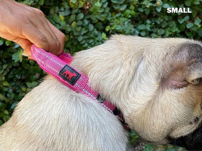 Tuff Pupper Heavy Duty Dog Collar with Handle | Ballistic Nylon Heavy Duty Collar | Padded Reflective Dog Collar with Adjustable Stainless Steel Hardware | Convenient Sizing for All Breeds