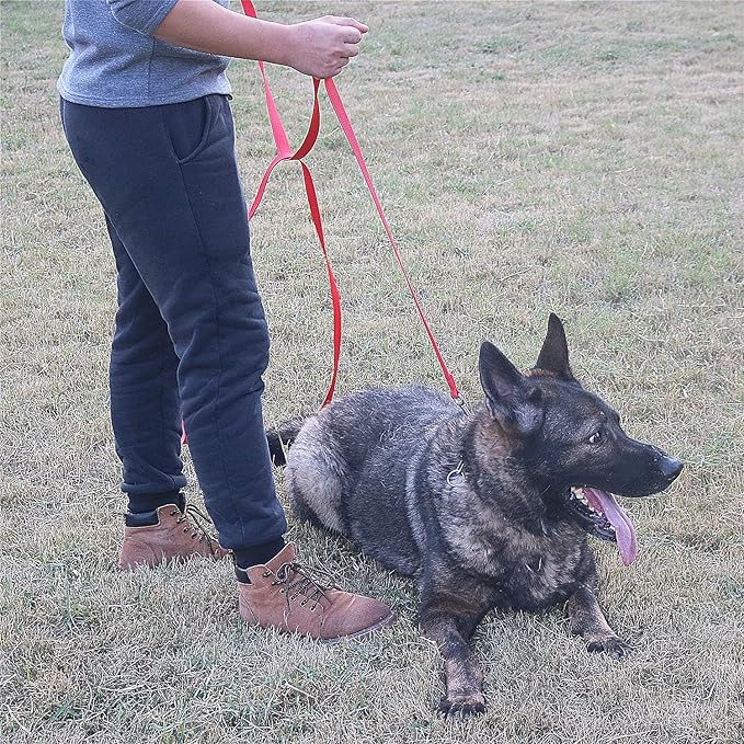 Dog/Puppy Obedience Recall Training Agility Lead - 20ft Long Training Leash，3/4in Wide - Great for Play, Camping, or Backyard - 20Ft Brown