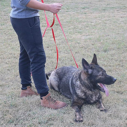 Dog/Puppy Obedience Recall Training Agility Lead - 20ft Long Training Leash，3/4in Wide - Great for Play, Camping, or Backyard - 20Ft Brown