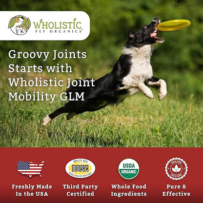 Wholistic Pet Organics - Hip and Joint Supplement for Dogs & Cats - Cat & Dog Joint Supplement - Green Lipped Mussels, Glucosamine, Chondroitin for Dogs & Cat Mobility Support - 2 Lb - 90 Scoops